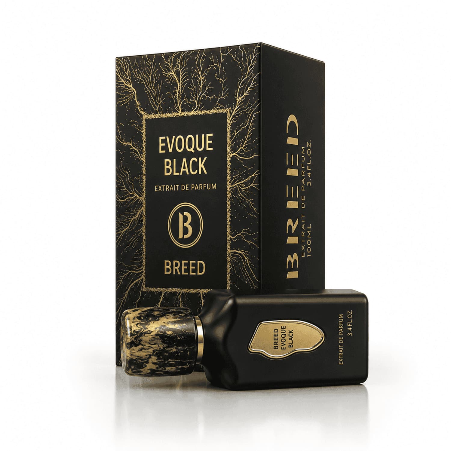 Evoque Black perfume